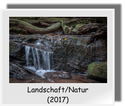 Landschaft/Natur  (2017)